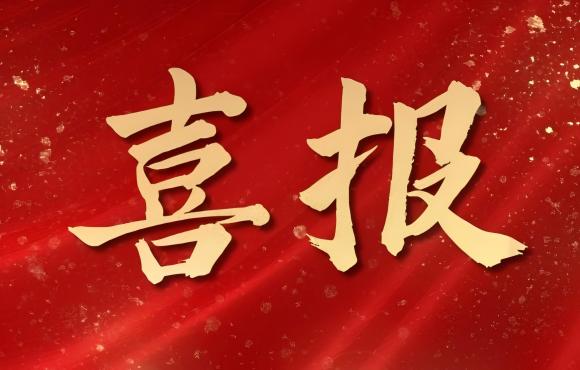 TOP 12！中節(jié)能國禎榮登中國品牌價(jià)值 “其他服務(wù)類”